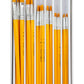 RCVP-116 | Gold Taklon Standard Handle 30pc Flat Brush Value Set