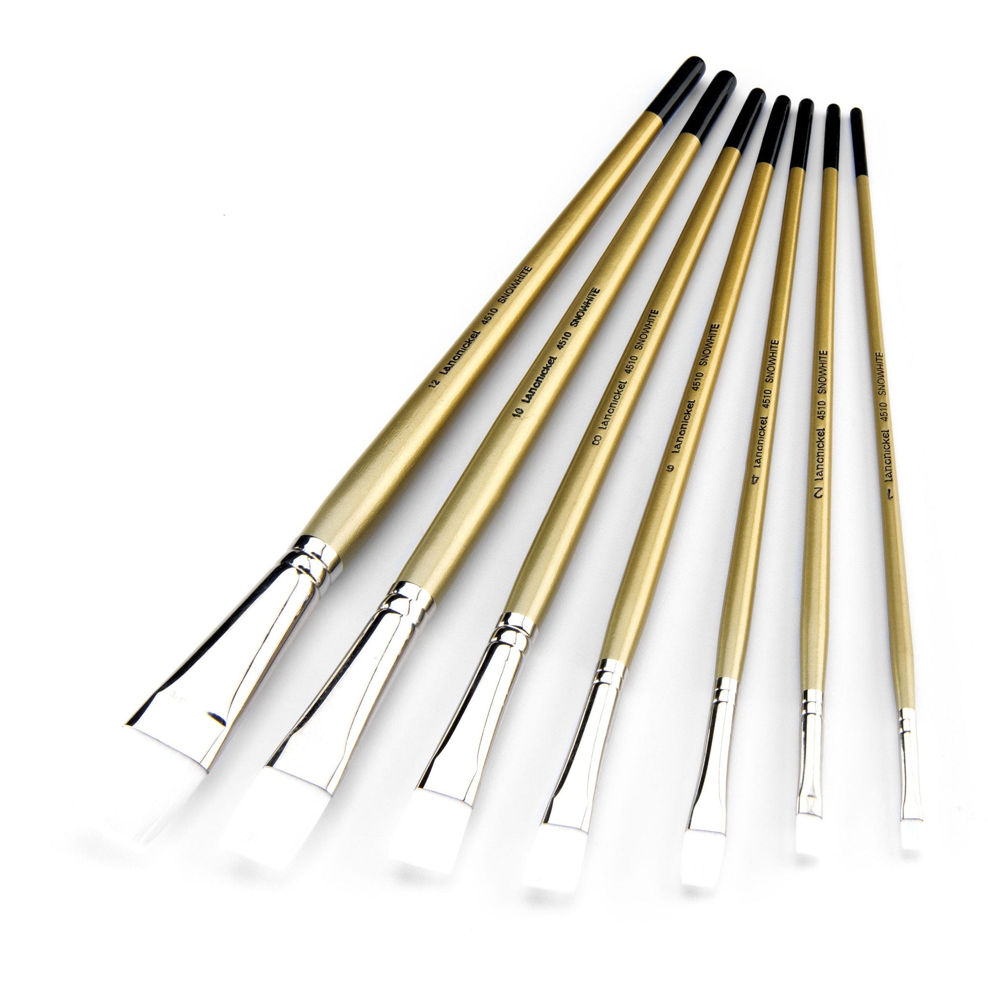 のりのり 51XoNN6mVmL.jpg_BO30,255,255,