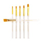 RSET-9159 - 6pc Golden Taklon Shader Brush Set glam 3