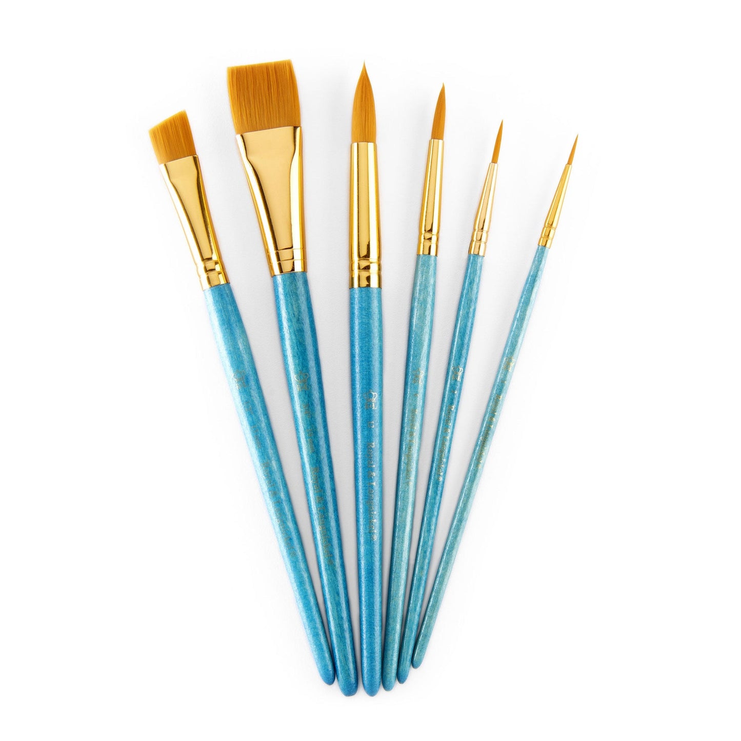 RSET-9182 - 6pc Golden Taklon Variety Brush Set glam 3