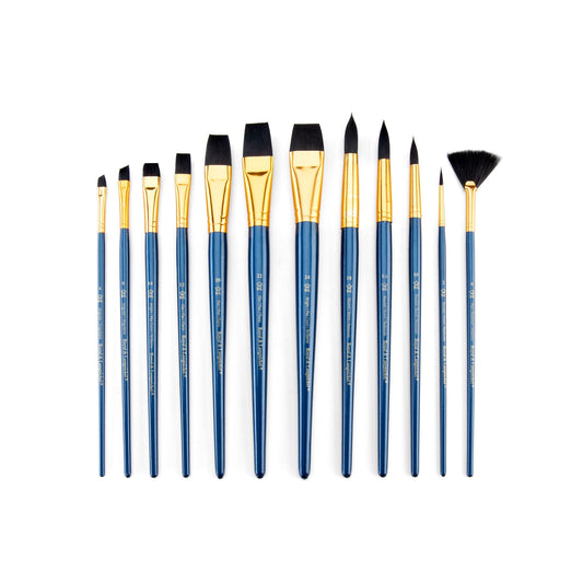 RSET-9301 - 12pc Black Taklon Long Handle Variety Brush Set