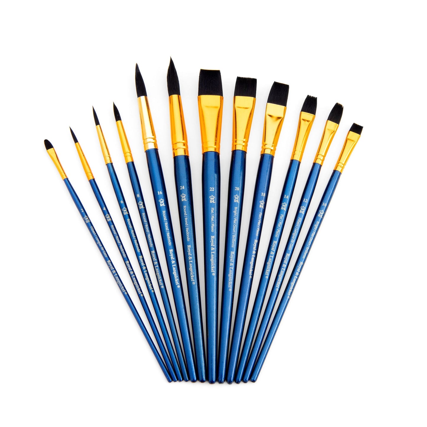 RSET-9302 - 12pc Black Taklon Long Handle Variety Brush Set