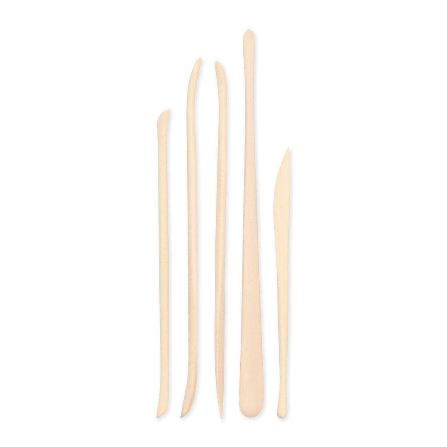 RSET-POT10 | 5pc Micro Sculpting Tools Set