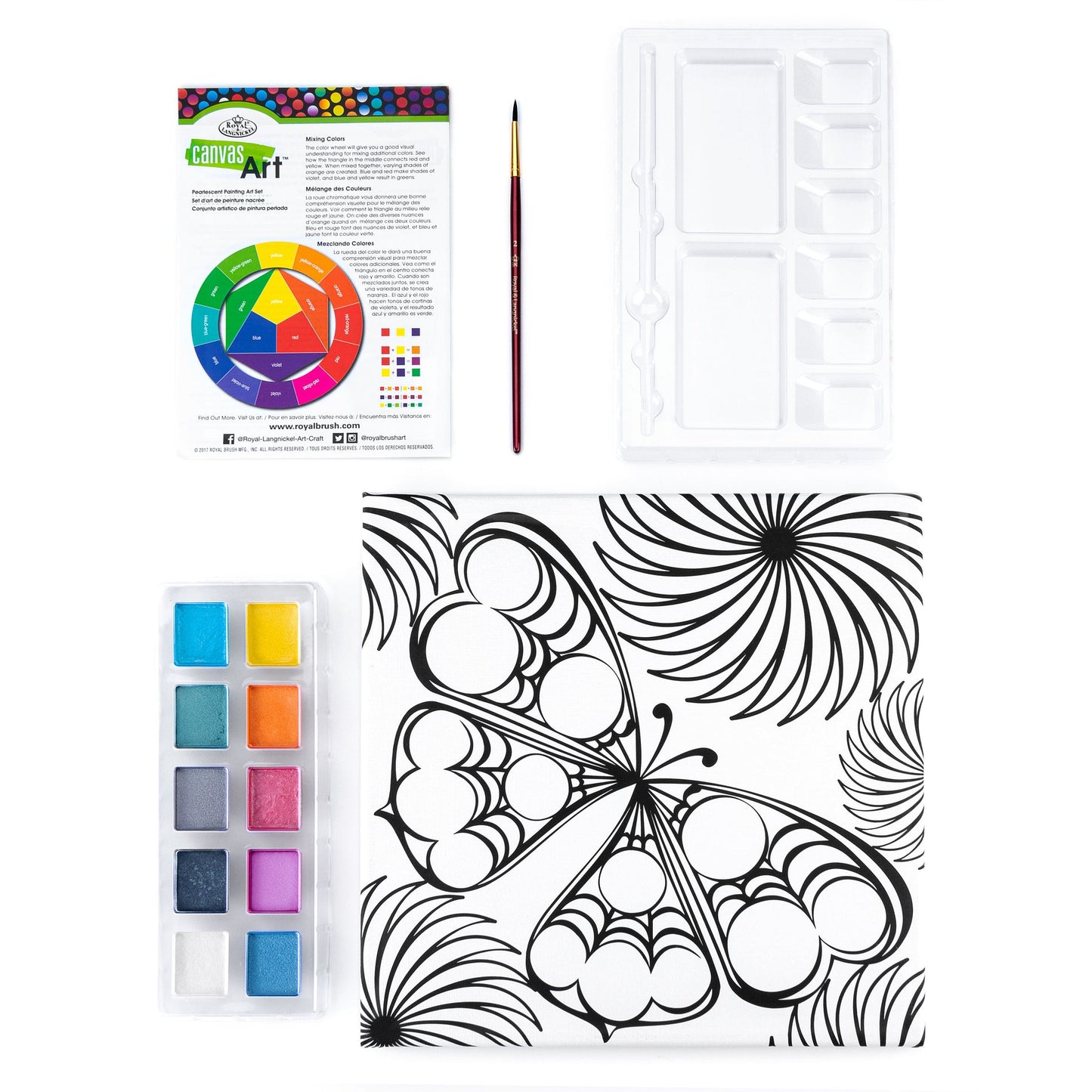 RTN-291 - Pearlescent Paint Canvas Art-B