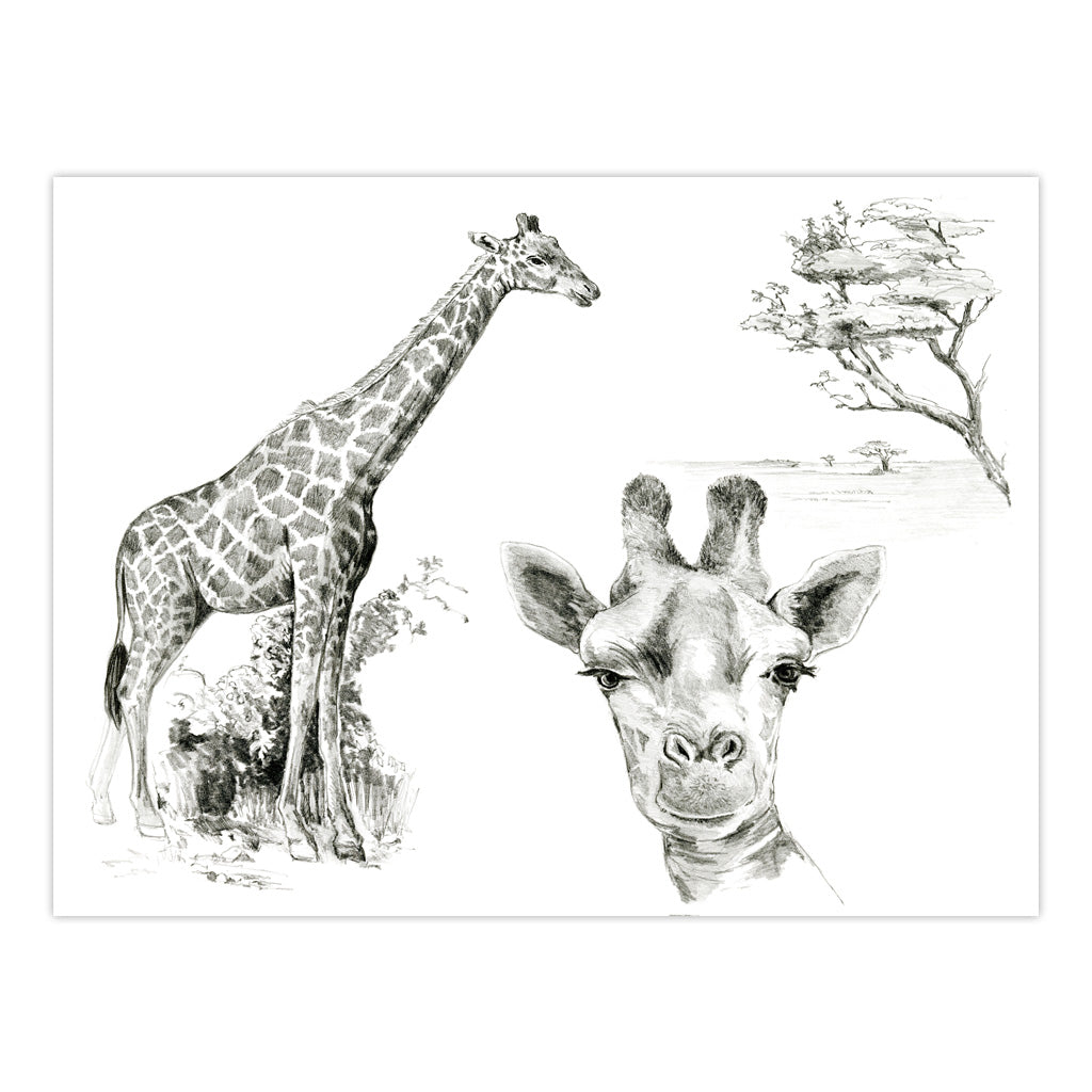 SKB-1 | Sketching Made Easy™ African Safari Art Activity Book