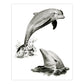 SKBN19 | Sketching Made Easy™ Dolphins 10pc 8.75" x 11.75" Sketching Art Project