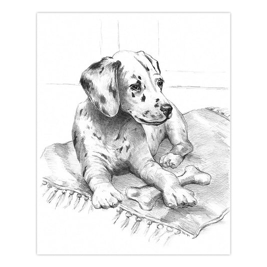 SKBN21 | Sketching Made Easy™ Dalmation Pup 10pc 8.75" x 11.75" Sketching Art Project