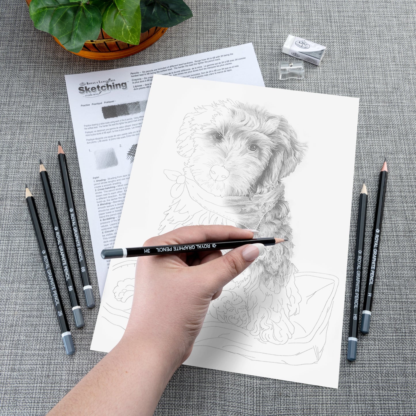 SKBN33 | Sketching Made Easy™ 10pc 8.75" x 11.75" Labradoodle on Pillow Sketching Art Project