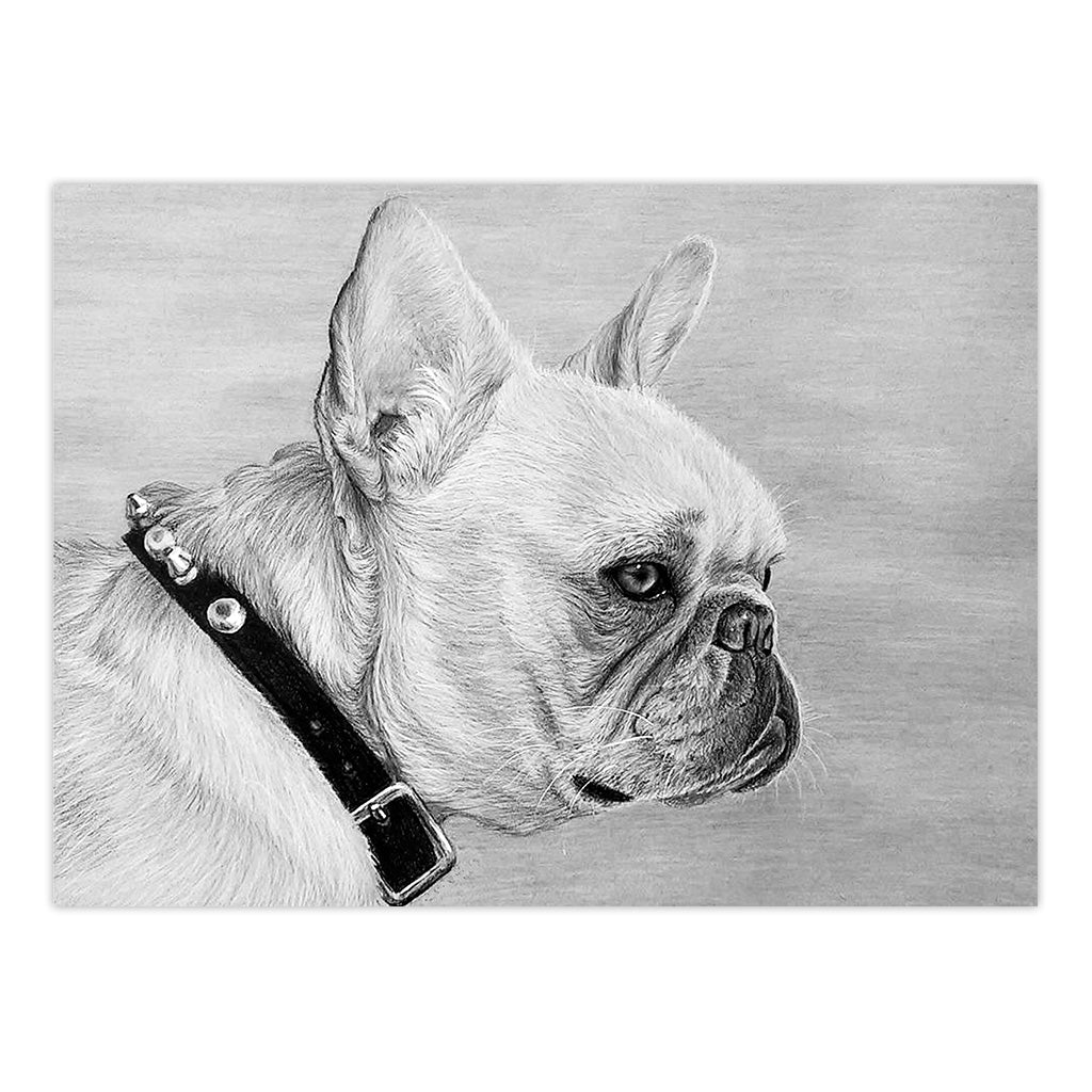 SKBNL12 | Sketching Made Easy™ 10pc 11.25" x 15.375" French Bulldog Sketching Art Project