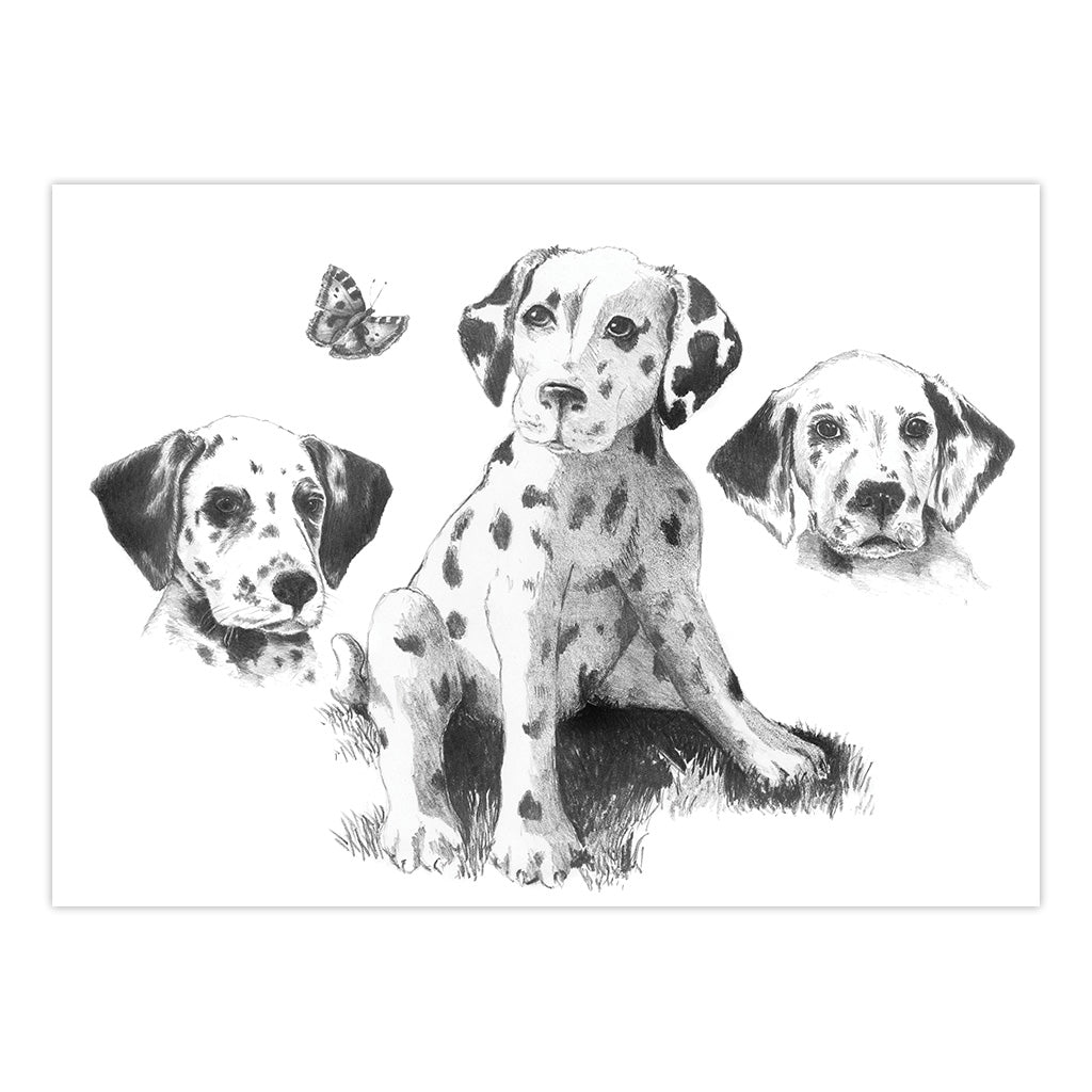 SKBNL1 | Sketching Made Easy™ Dalmatians 10pc 11.25" x 15.375" Sketching Art Project