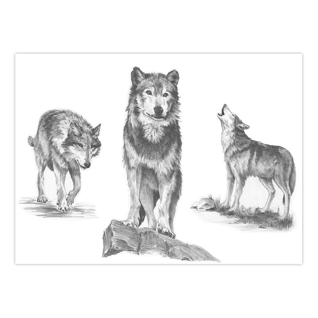 SKBNL2 | Sketching Made Easy™ Wolves 10pc 11.25" x 15.375" Sketching Art Project