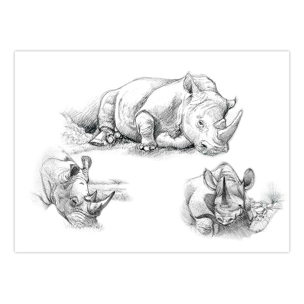 SKBNL3 | Sketching Made Easy™ Rhinos 10pc 11.25" x 15.375" Sketching Art Project