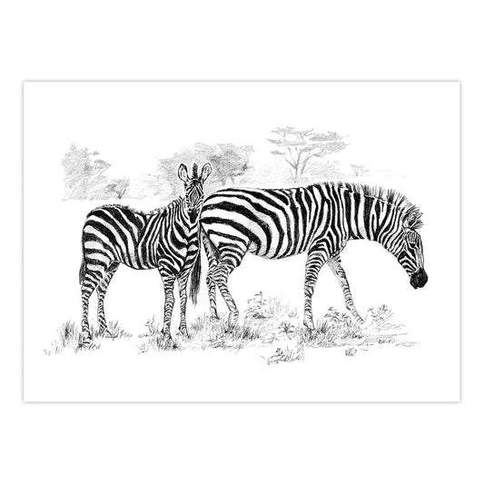 SKBNL5 | Sketching Made Easy™ Zebras 10pc 11.25" x 15.375" Sketching Art Project