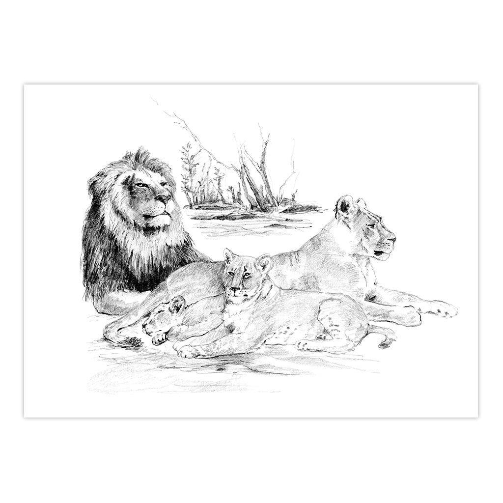 SKBNL6 | Sketching Made Easy™ Lion Pride 10pc 11.25" x 15.375" Sketching Art Project