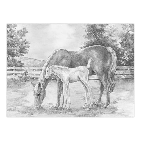 SKBNL8 | Sketching Made Easy™ Horse & Colt 10pc 11.25" x 15.375" Sketching Art Project