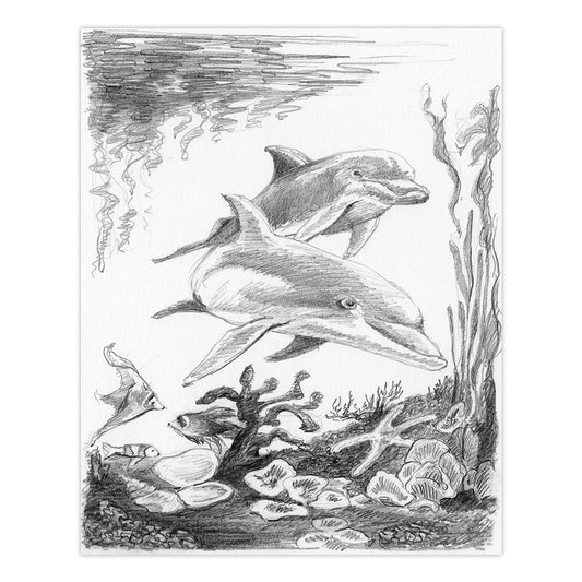 SKMIN-101 | Sketching Made Easy™ Dolphins 8pc 5" x 7" Sketching Art Project