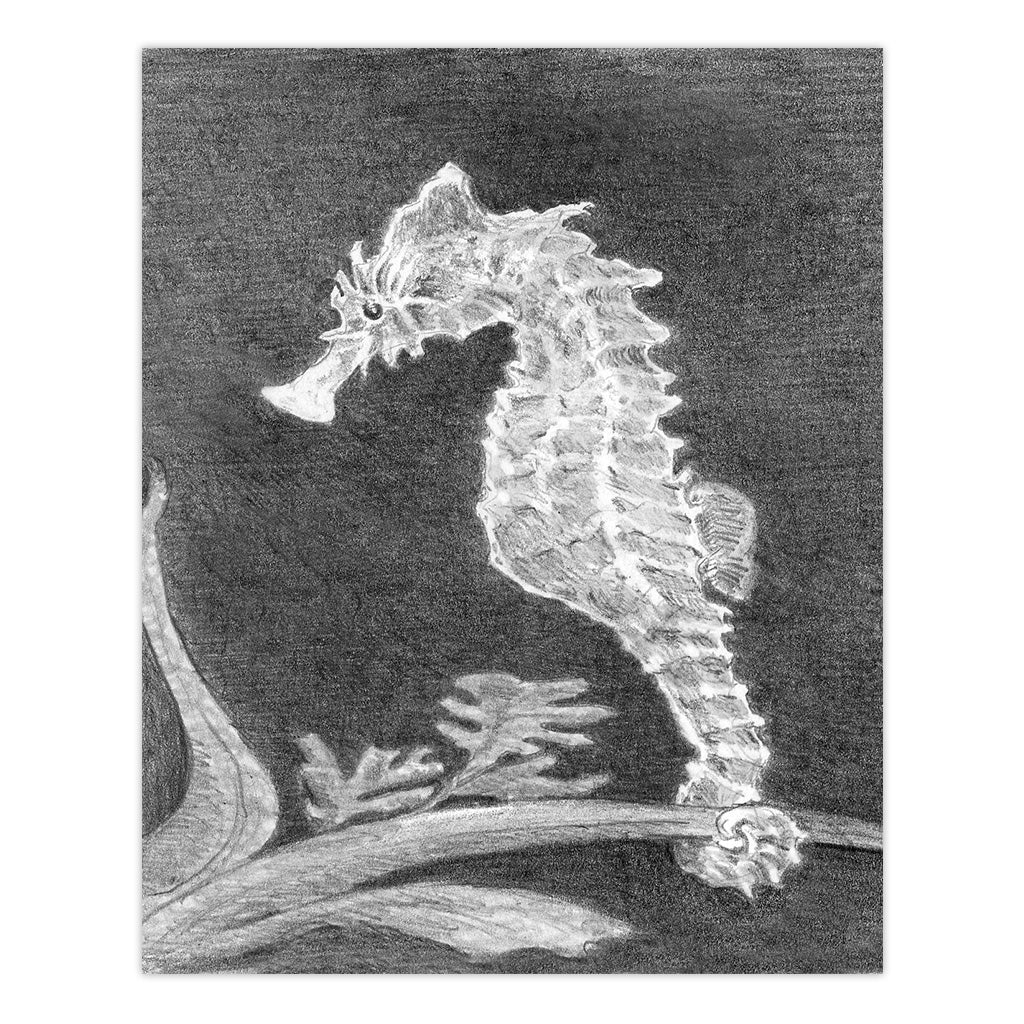 SKMIN-103 | Sketching Made Easy™ Sea Horse 8pc 5" x 7" Sketching Art Project