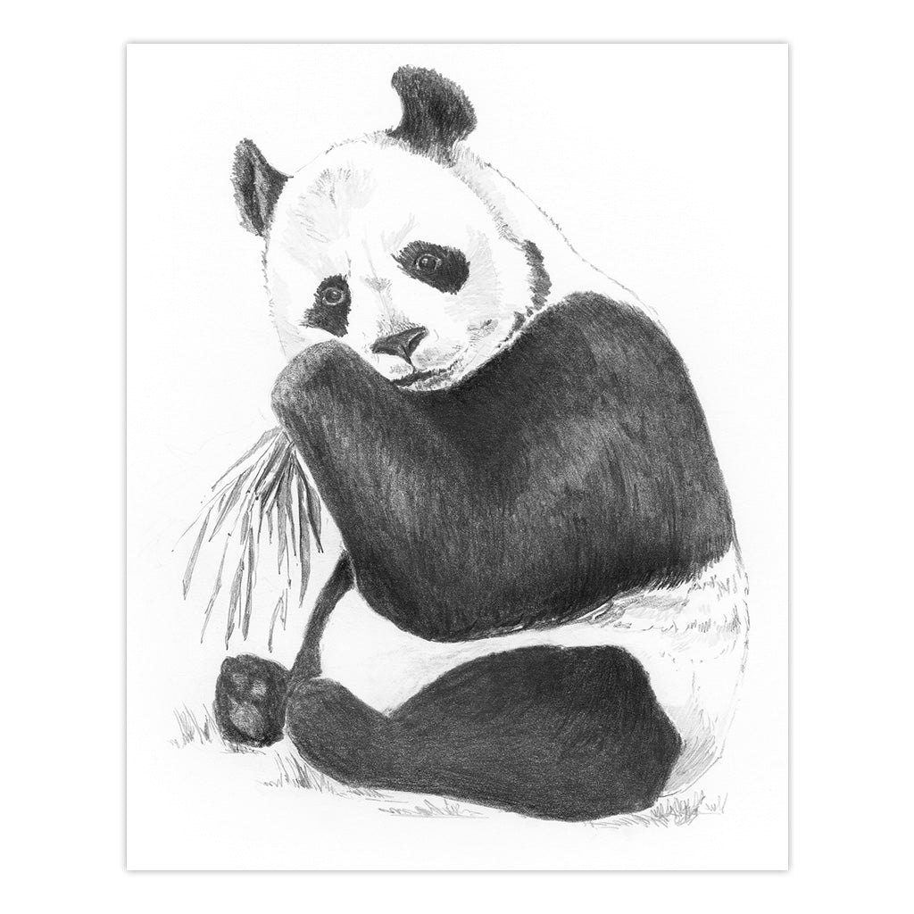 SKMIN-107 | Sketching Made Easy™ Panda 8pc 5" x 7" Sketching Art Project