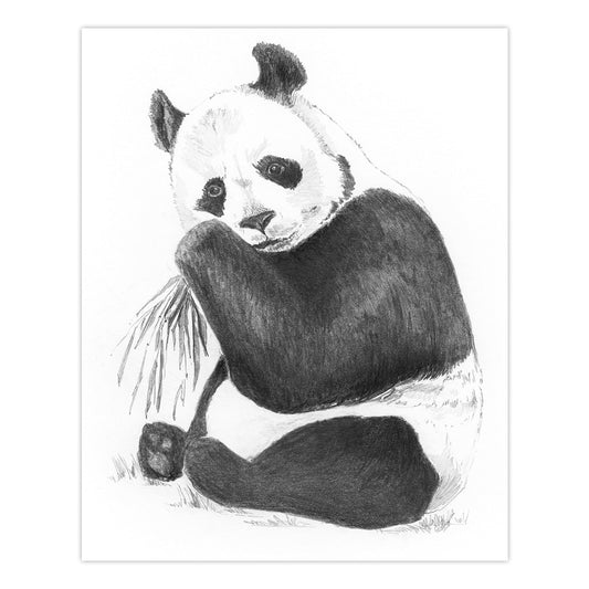 SKMIN-107 | Sketching Made Easy™ Panda 8pc 5" x 7" Sketching Art Project