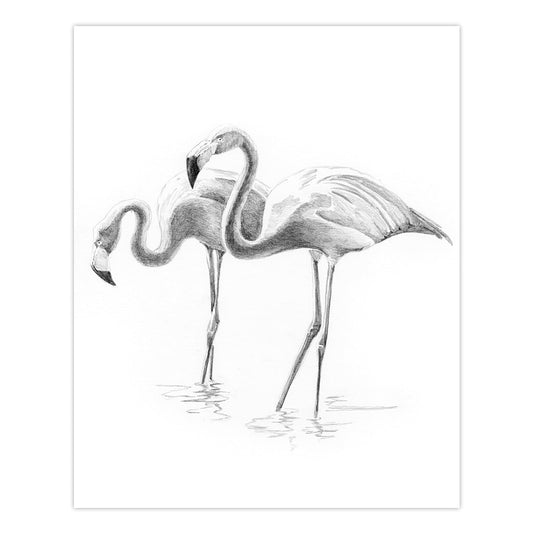 SKMIN-109 | Sketching Made Easy™ Flamingoes 8pc 5" x 7" Sketching Art Project