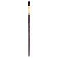 R6900T-8 - Bordeaux™ Filbert Brush - 8