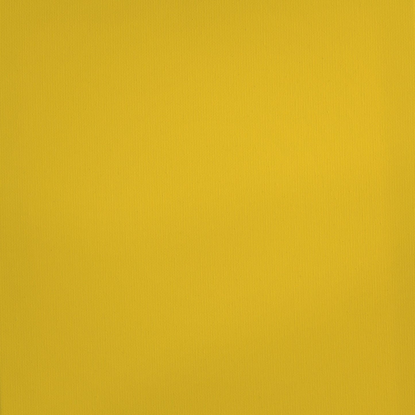 Primary Yellow Swatch